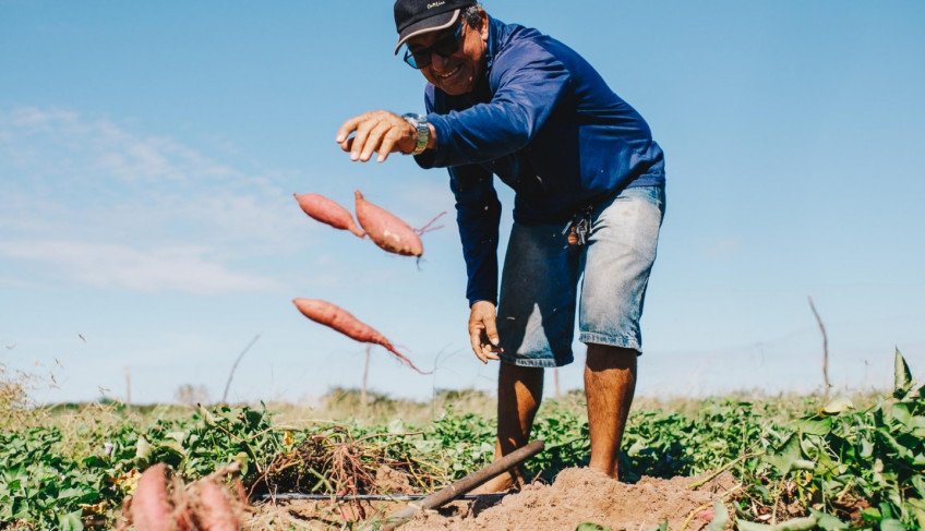 ASN Rio Grande do Norte - Agência Sebrae de Notícias