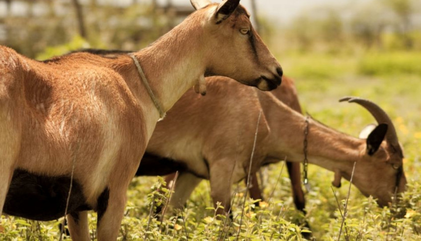 ASN Rio Grande do Norte - Agência Sebrae de Notícias