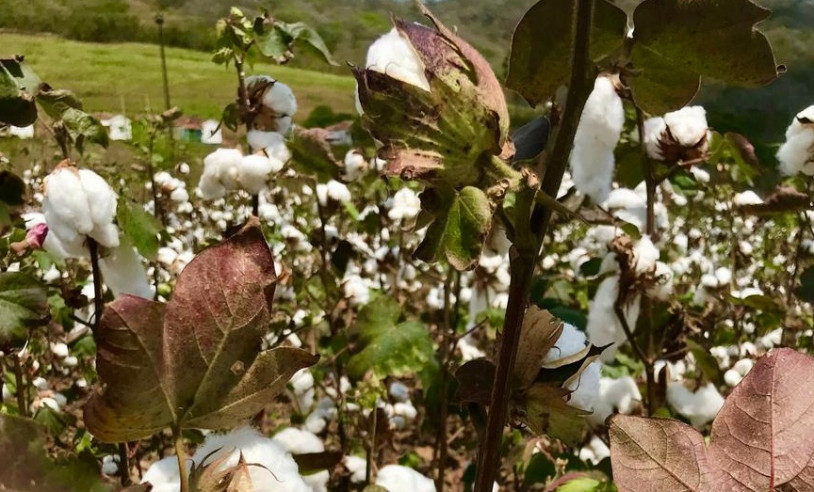 ASN Rio Grande do Norte - Agência Sebrae de Notícias