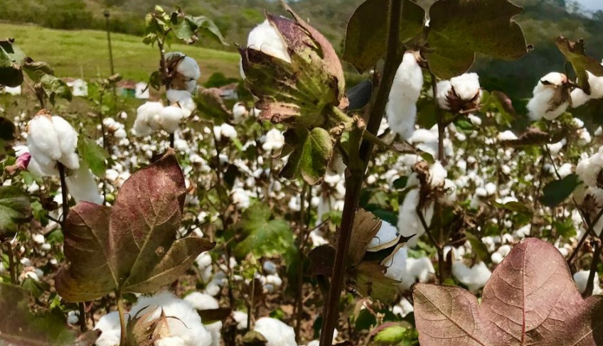ASN Rio Grande do Norte - Agência Sebrae de Notícias