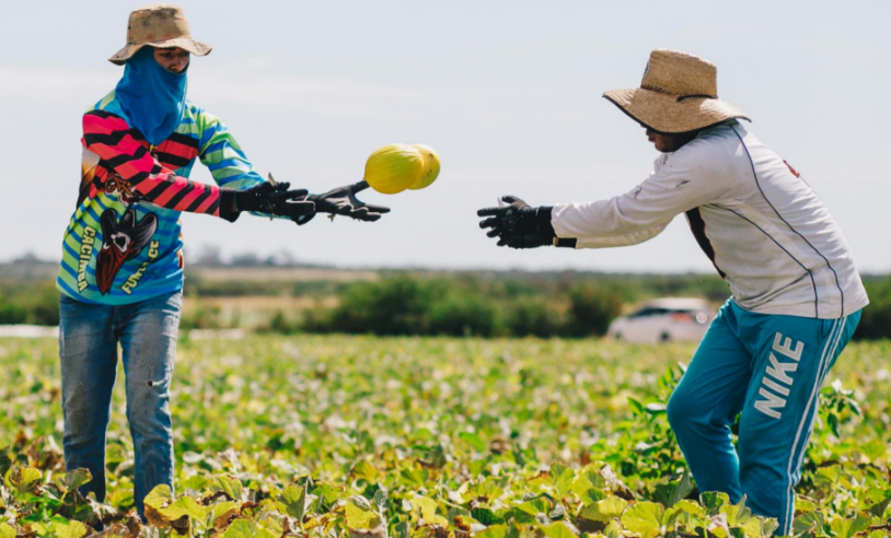 ASN Rio Grande do Norte - Agência Sebrae de Notícias