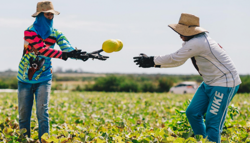 ASN Rio Grande do Norte - Agência Sebrae de Notícias