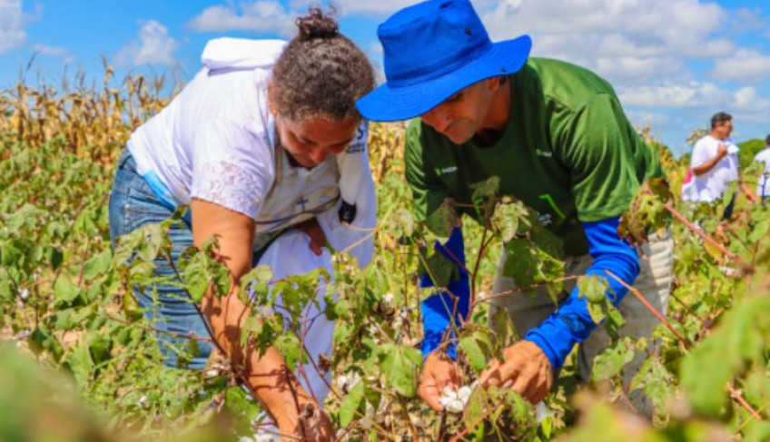 ASN Rio Grande do Norte - Agência Sebrae de Notícias