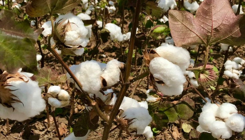 ASN Rio Grande do Norte - Agência Sebrae de Notícias