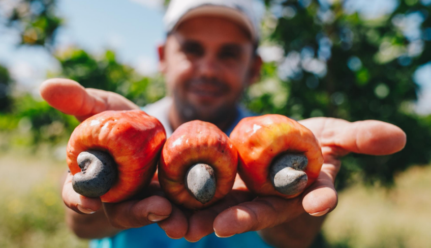 ASN Rio Grande do Norte - Agência Sebrae de Notícias