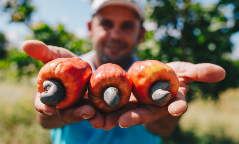 ASN Rio Grande do Norte - Agência Sebrae de Notícias