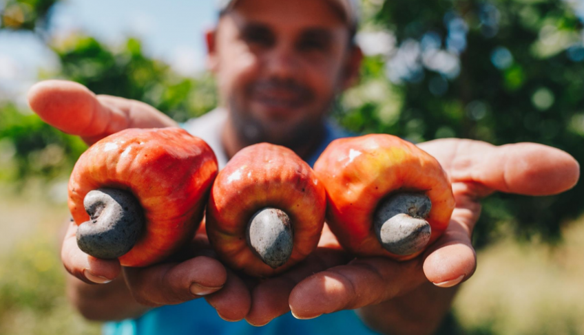 ASN Rio Grande do Norte - Agência Sebrae de Notícias
