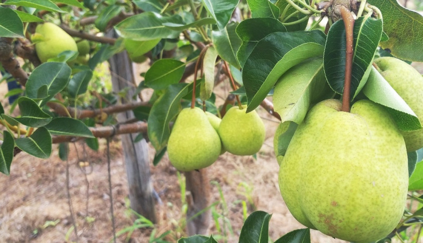 ASN Rio Grande do Norte - Agência Sebrae de Notícias
