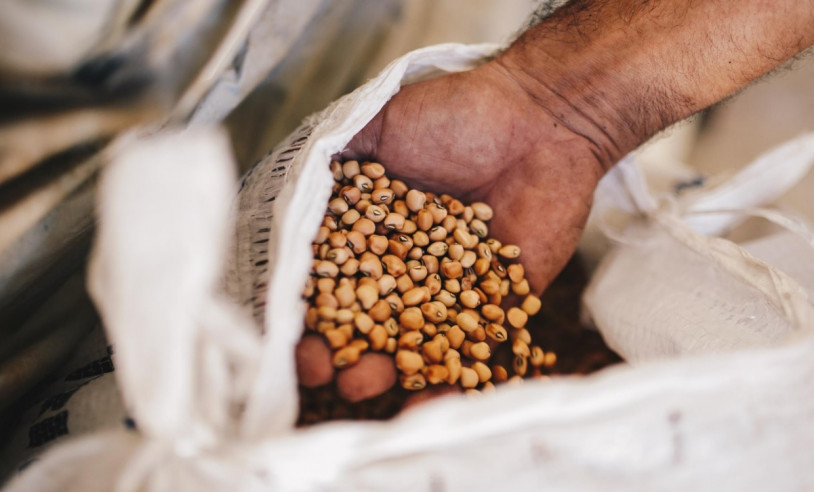 ASN Rio Grande do Norte - Agência Sebrae de Notícias