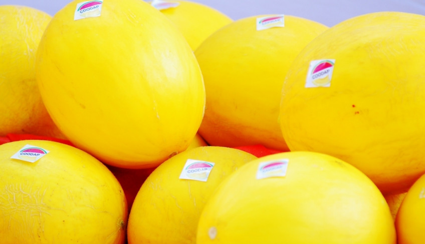 ASN Rio Grande do Norte - Agência Sebrae de Notícias