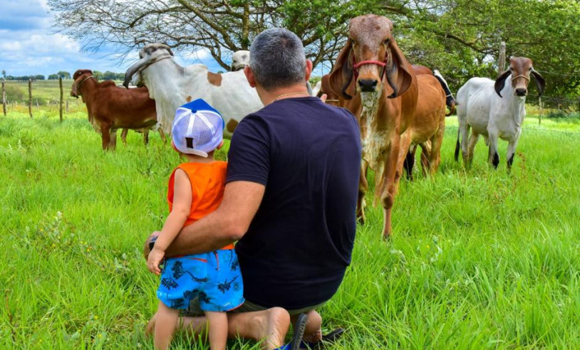 ASN Rio Grande do Norte - Agência Sebrae de Notícias