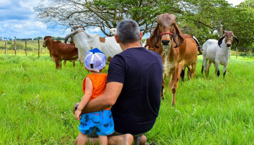 ASN Rio Grande do Norte - Agência Sebrae de Notícias