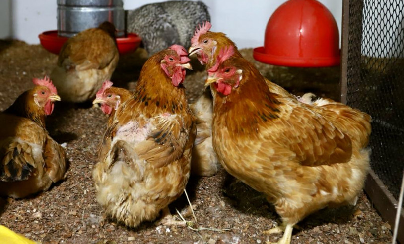 ASN Rio Grande do Norte - Agência Sebrae de Notícias