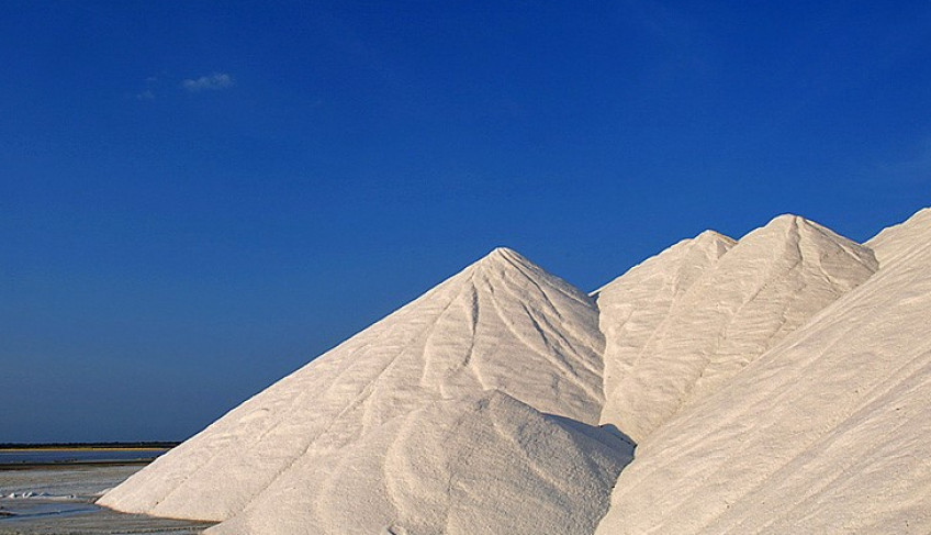 ASN Rio Grande do Norte - Agência Sebrae de Notícias