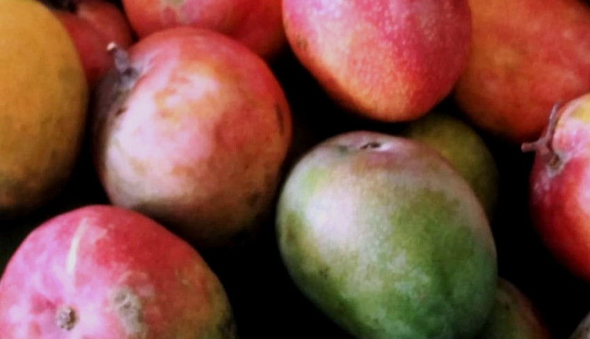 ASN Rio Grande do Norte - Agência Sebrae de Notícias