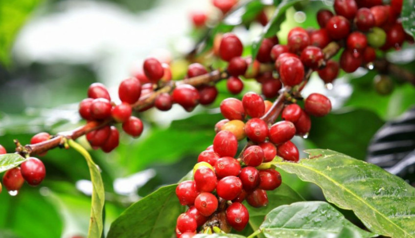 ASN Rio Grande do Norte - Agência Sebrae de Notícias