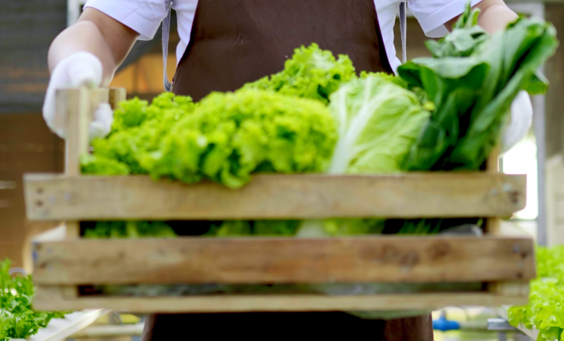 ASN Rio Grande do Norte - Agência Sebrae de Notícias