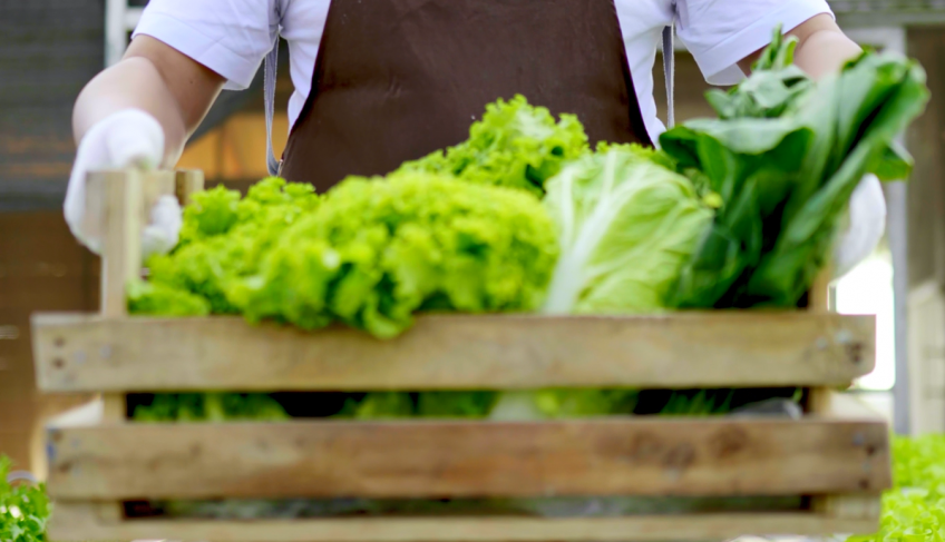 ASN Rio Grande do Norte - Agência Sebrae de Notícias