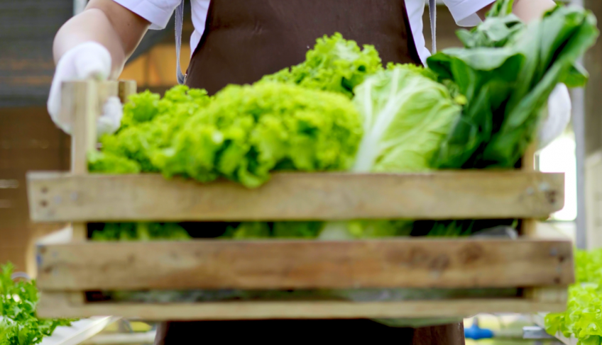 ASN Rio Grande do Norte - Agência Sebrae de Notícias