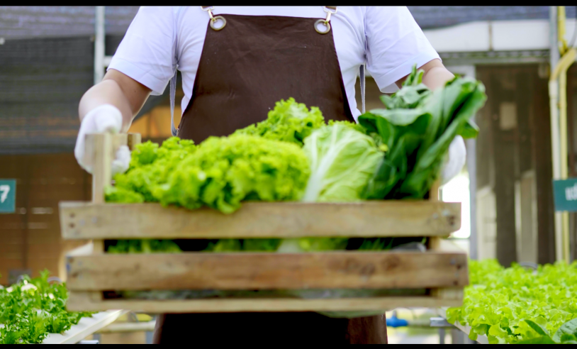 ASN Rio Grande do Norte - Agência Sebrae de Notícias
