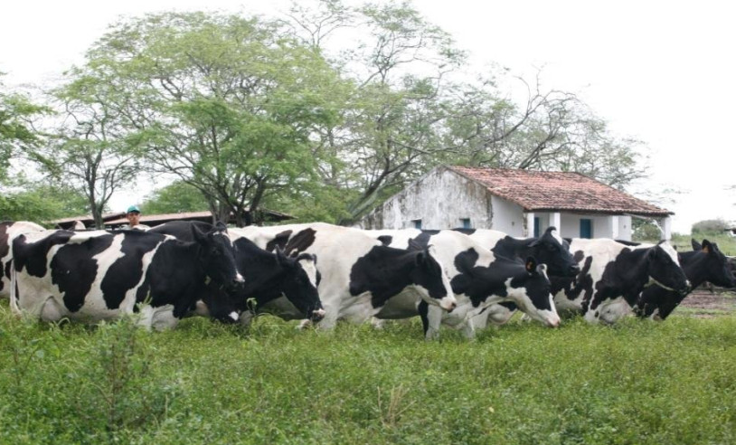 ASN Rio Grande do Norte - Agência Sebrae de Notícias