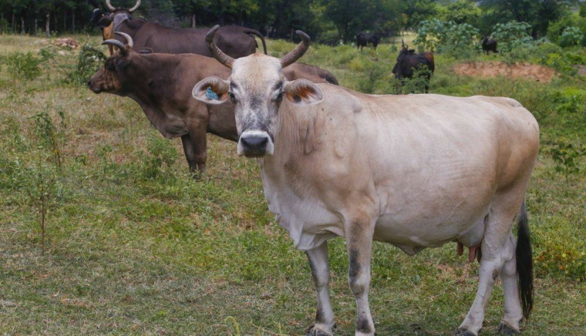 ASN Rio Grande do Norte - Agência Sebrae de Notícias