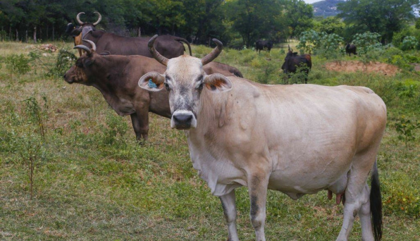 ASN Rio Grande do Norte - Agência Sebrae de Notícias