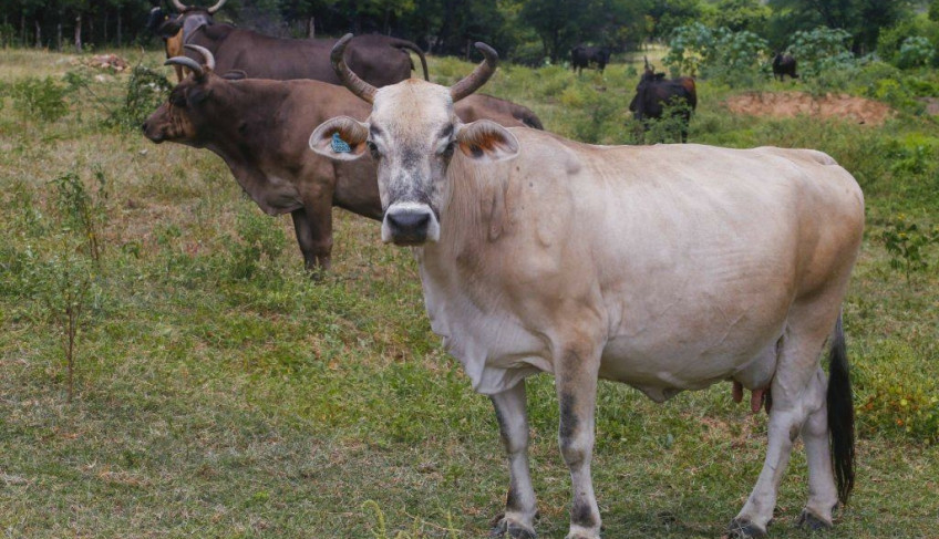 ASN Rio Grande do Norte - Agência Sebrae de Notícias