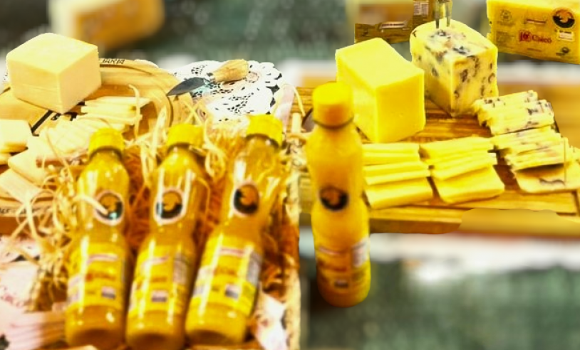 ASN Rio Grande do Norte - Agência Sebrae de Notícias