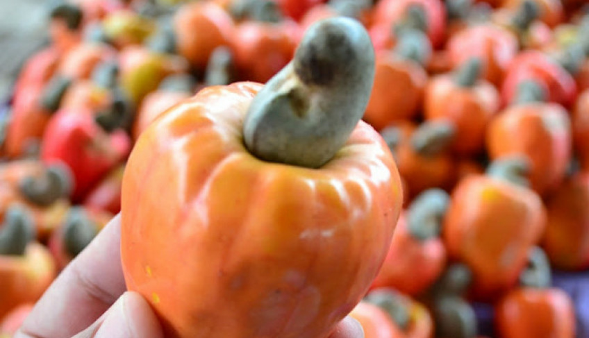 ASN Rio Grande do Norte - Agência Sebrae de Notícias