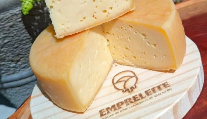 ASN Rio Grande do Norte - Agência Sebrae de Notícias