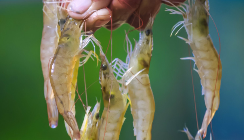 ASN Rio Grande do Norte - Agência Sebrae de Notícias