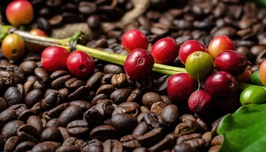 ASN Rio Grande do Norte - Agência Sebrae de Notícias