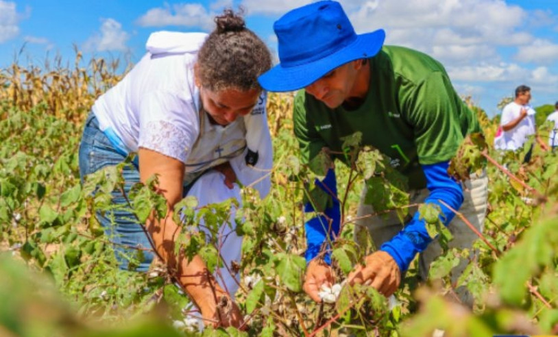 ASN Rio Grande do Norte - Agência Sebrae de Notícias