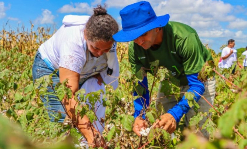 ASN Rio Grande do Norte - Agência Sebrae de Notícias