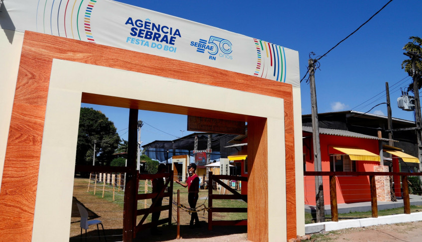 ASN Rio Grande do Norte - Agência Sebrae de Notícias