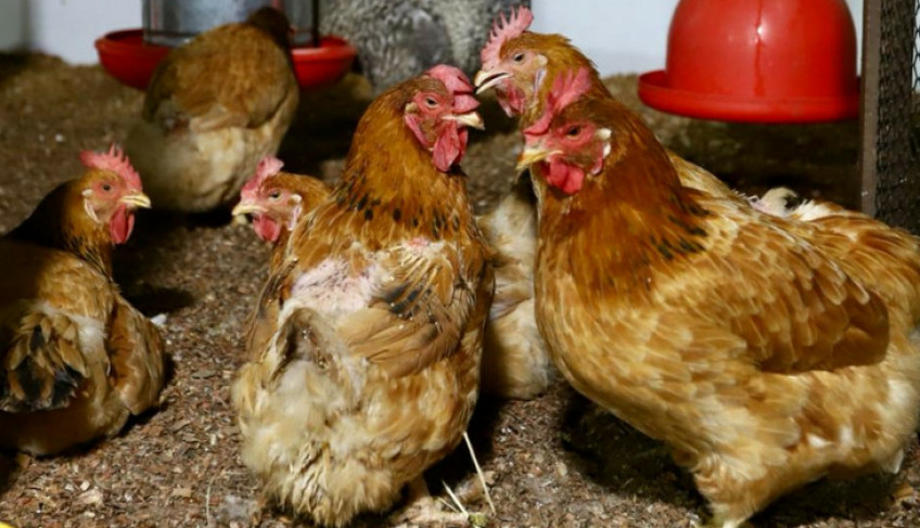 ASN Rio Grande do Norte - Agência Sebrae de Notícias