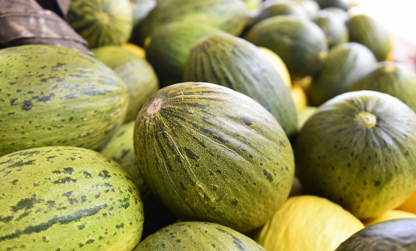 ASN Rio Grande do Norte - Agência Sebrae de Notícias