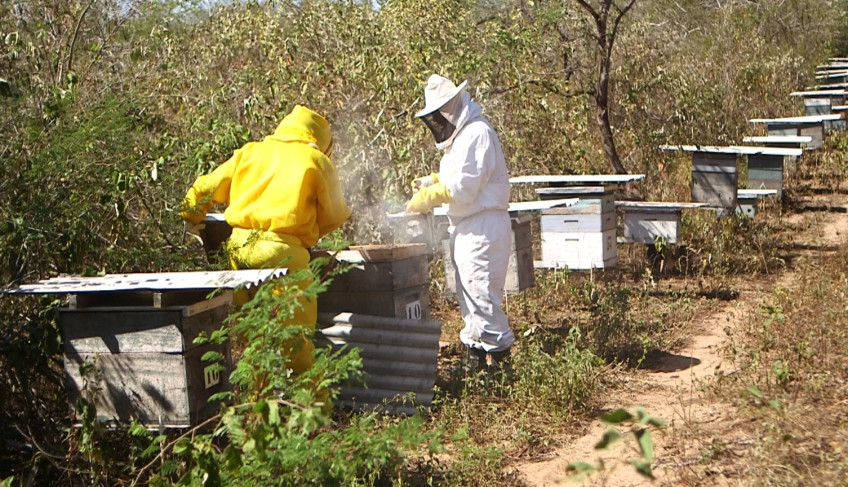 ASN Rio Grande do Norte - Agência Sebrae de Notícias