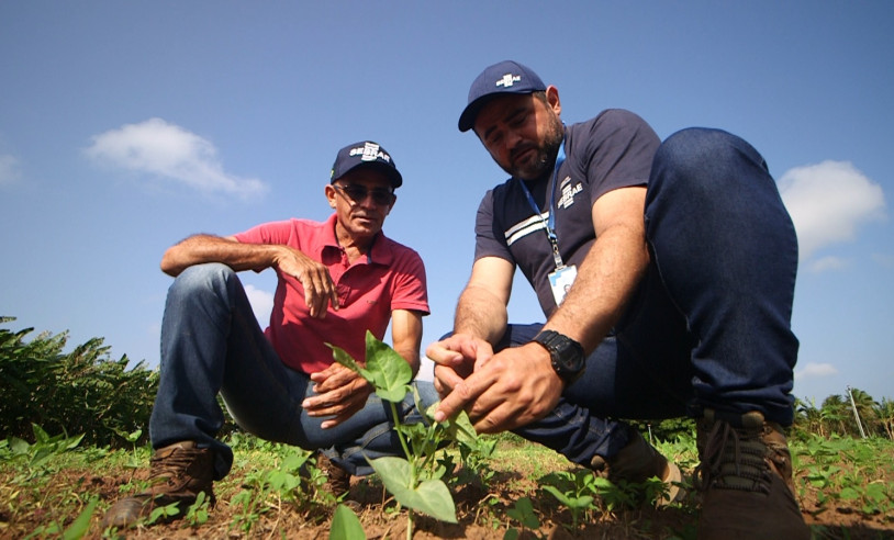 ASN Rio Grande do Norte - Agência Sebrae de Notícias