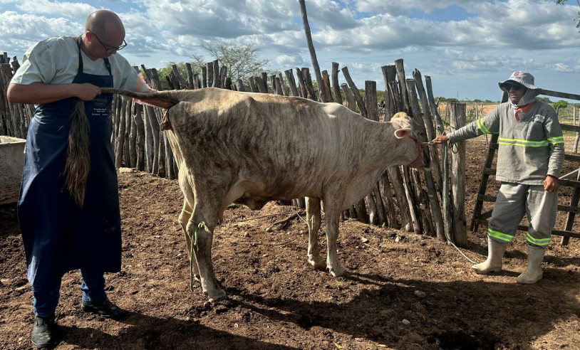 ASN Rio Grande do Norte - Agência Sebrae de Notícias