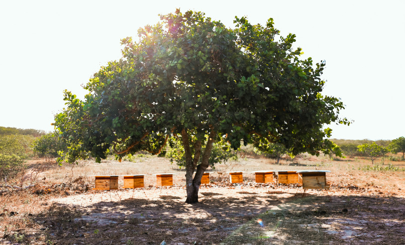 ASN Rio Grande do Norte - Agência Sebrae de Notícias