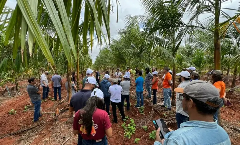 ASN Rio Grande do Norte - Agência Sebrae de Notícias