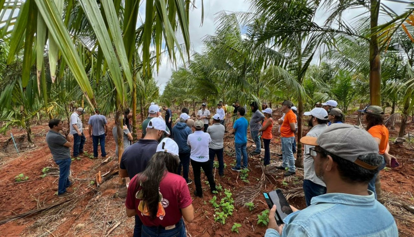 ASN Rio Grande do Norte - Agência Sebrae de Notícias