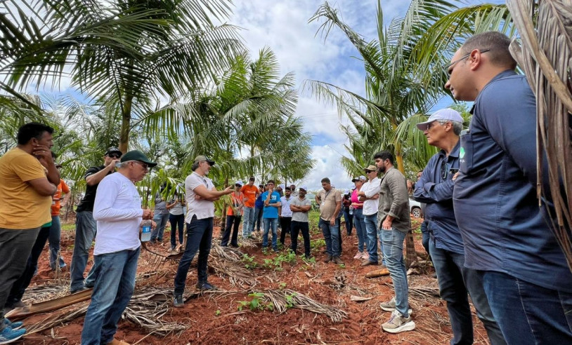 ASN Rio Grande do Norte - Agência Sebrae de Notícias