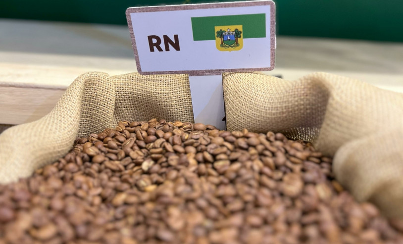 ASN Rio Grande do Norte - Agência Sebrae de Notícias