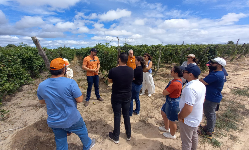 ASN Rio Grande do Norte - Agência Sebrae de Notícias
