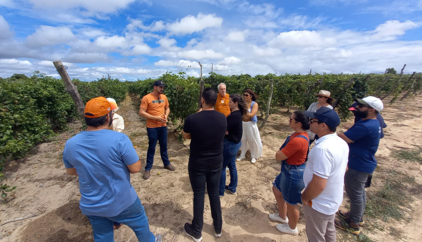 ASN Rio Grande do Norte - Agência Sebrae de Notícias