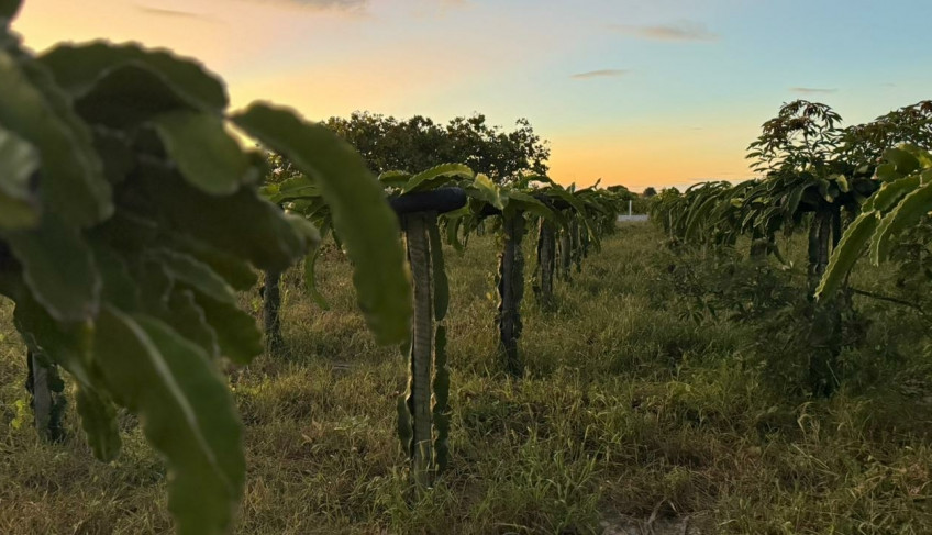 ASN Rio Grande do Norte - Agência Sebrae de Notícias