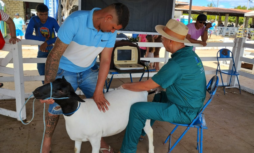 ASN Rio Grande do Norte - Agência Sebrae de Notícias